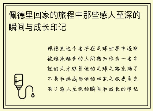 佩德里回家的旅程中那些感人至深的瞬间与成长印记