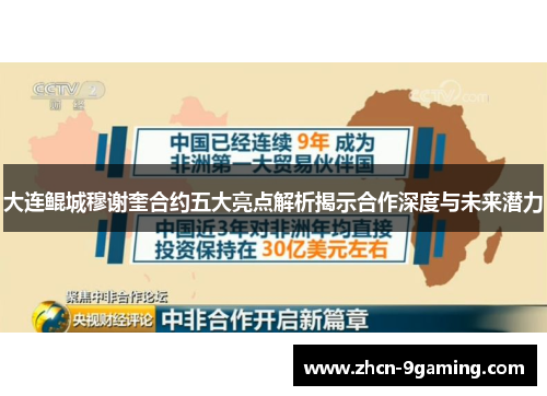 大连鲲城穆谢奎合约五大亮点解析揭示合作深度与未来潜力