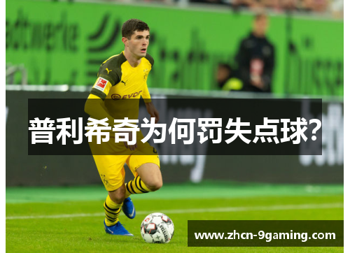 普利希奇为何罚失点球？